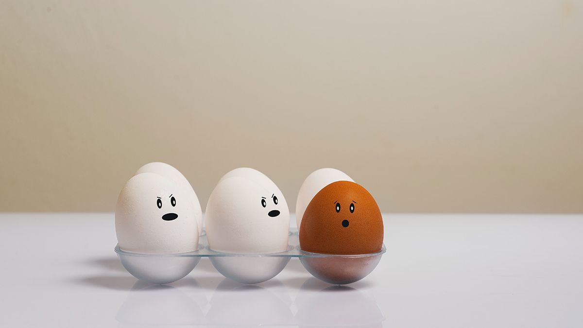 В чем разница между белыми и коричневыми яйцами