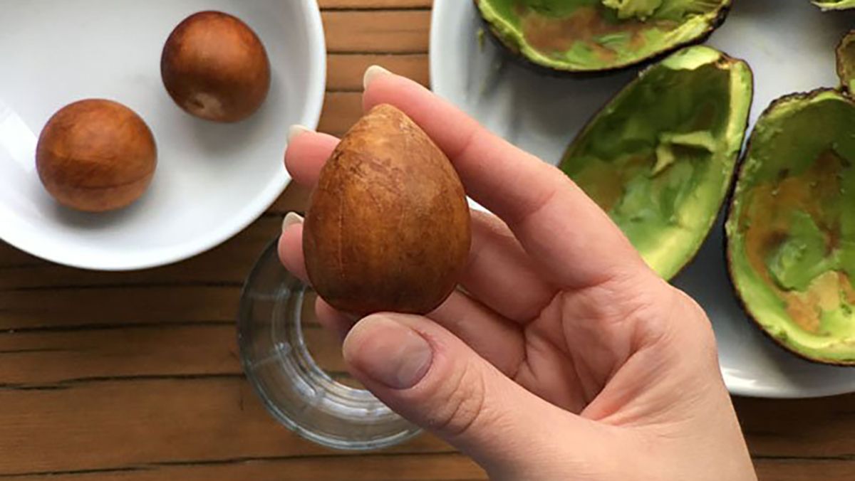 Найкращі поради для вирощування авокадо вдома Найкращі поради для вирощування авокадо вдома