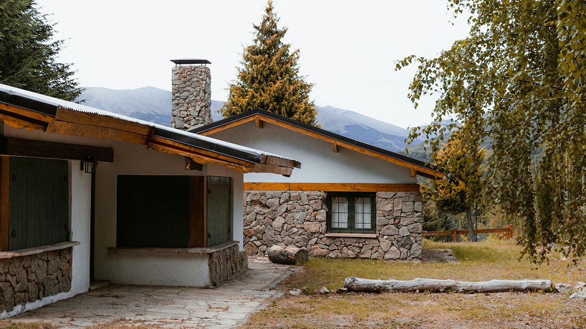 Деревья, которые нельзя сажать возле дома Деревья, которые нельзя сажать возле дома