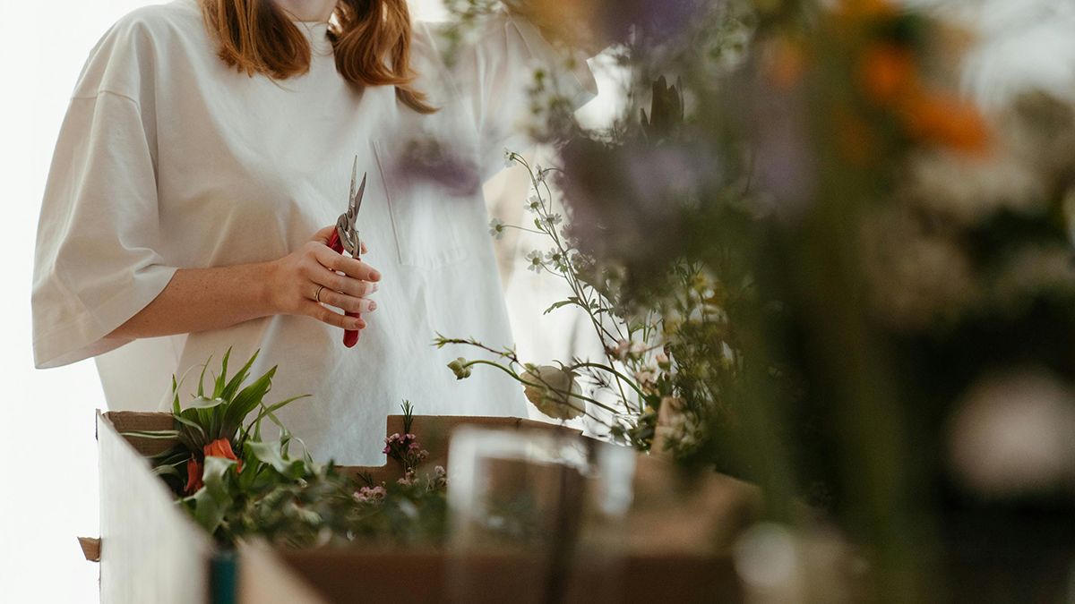Коли треба обрізати троянди навесні Коли треба обрізати троянди навесні