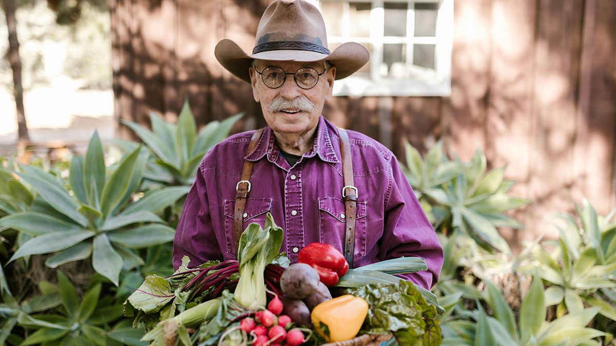 Какие овощи можно посадить в марте Какие овощи можно посадить в марте