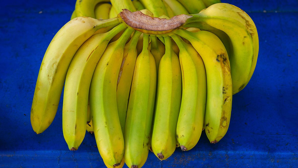Як вберегти банани від плодових мушок