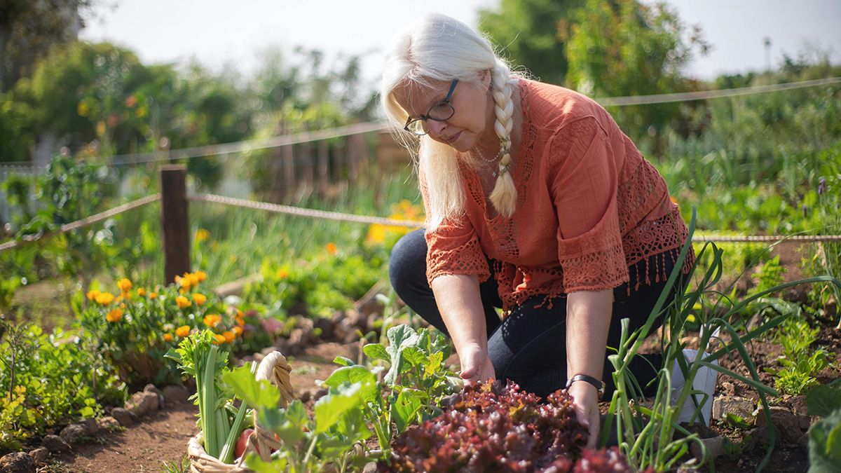 У квітні вже можна садити певні види овочів