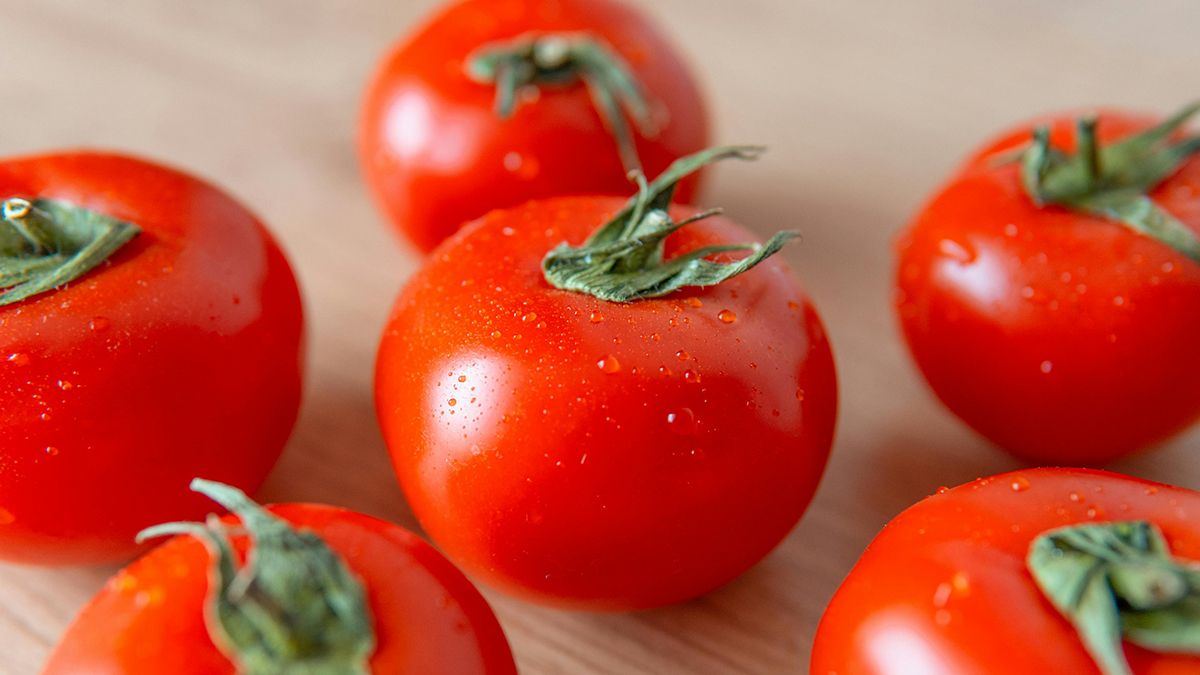 Недозревшие помидоры надо правильно хранить