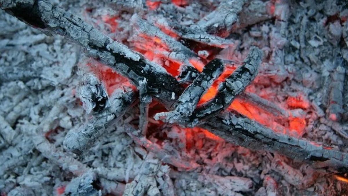 Пепел избавляет от вредителей и болезней растений Пепел избавляет от вредителей и болезней растений