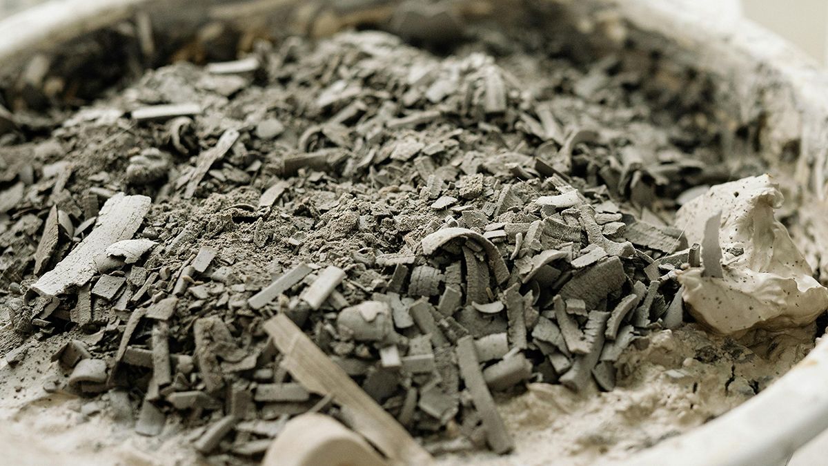 Деякі рослини дуже люблять попіл Деякі рослини дуже люблять попіл