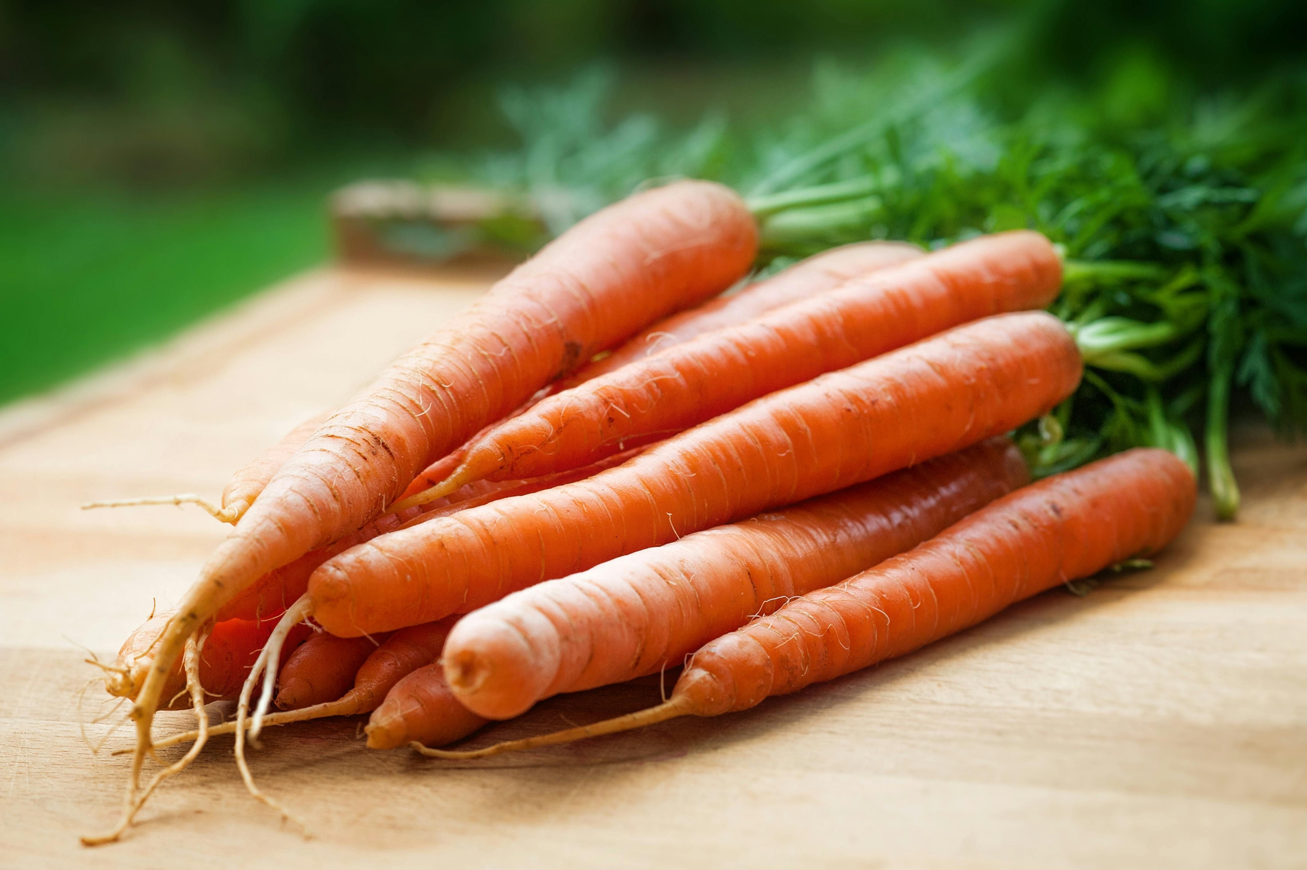 Морковь нужно сажать правильно