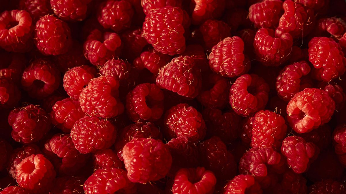 Многие садоводы обрабатывают малину золой. Многие садоводы обрабатывают малину золой.