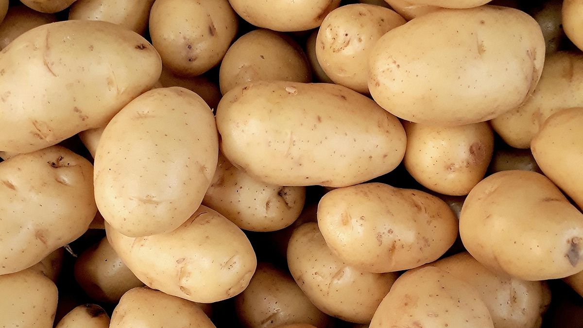 Відомо, коли треба обробляти бур'яни від картоплі