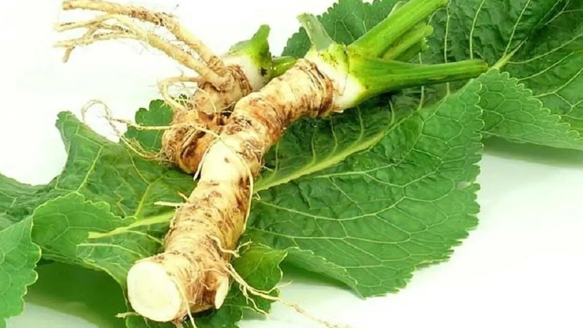 Названо методи, які позбавлять город від хрону Названо методи, які позбавлять город від хрону