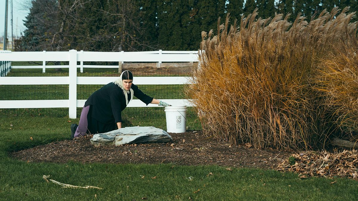 Список всіх рослин, які треба посадити до Великодня Список всіх рослин, які треба посадити до Великодня