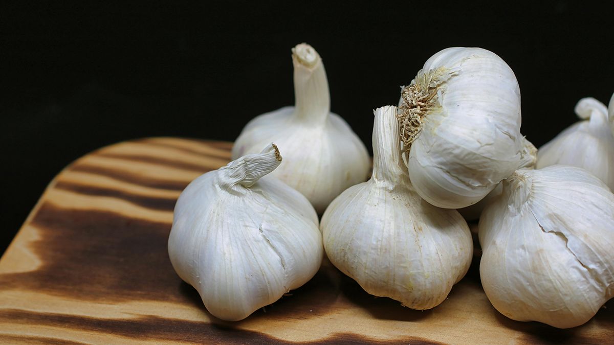 Названы лучшие методы для подкормки чеснока Названы лучшие методы для подкормки чеснока