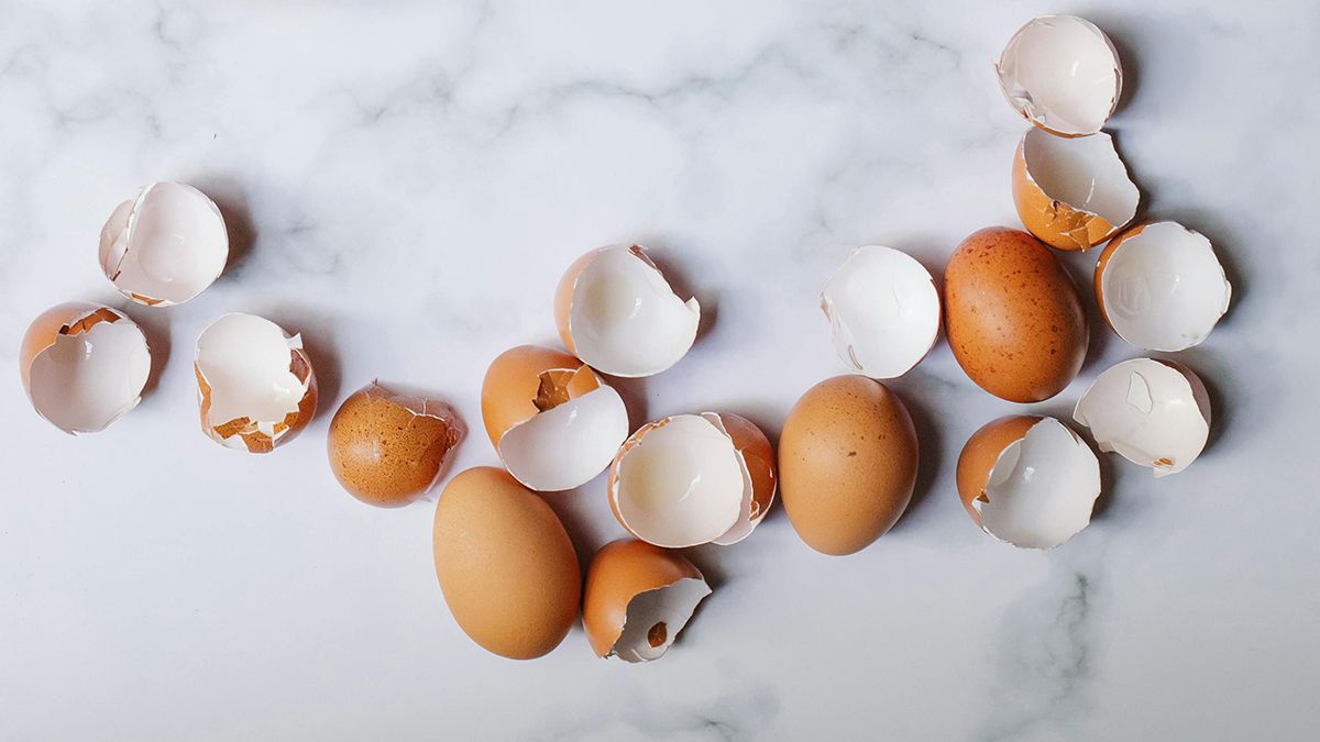 Яєчна шкаралупа є добривом Яєчна шкаралупа є добривом