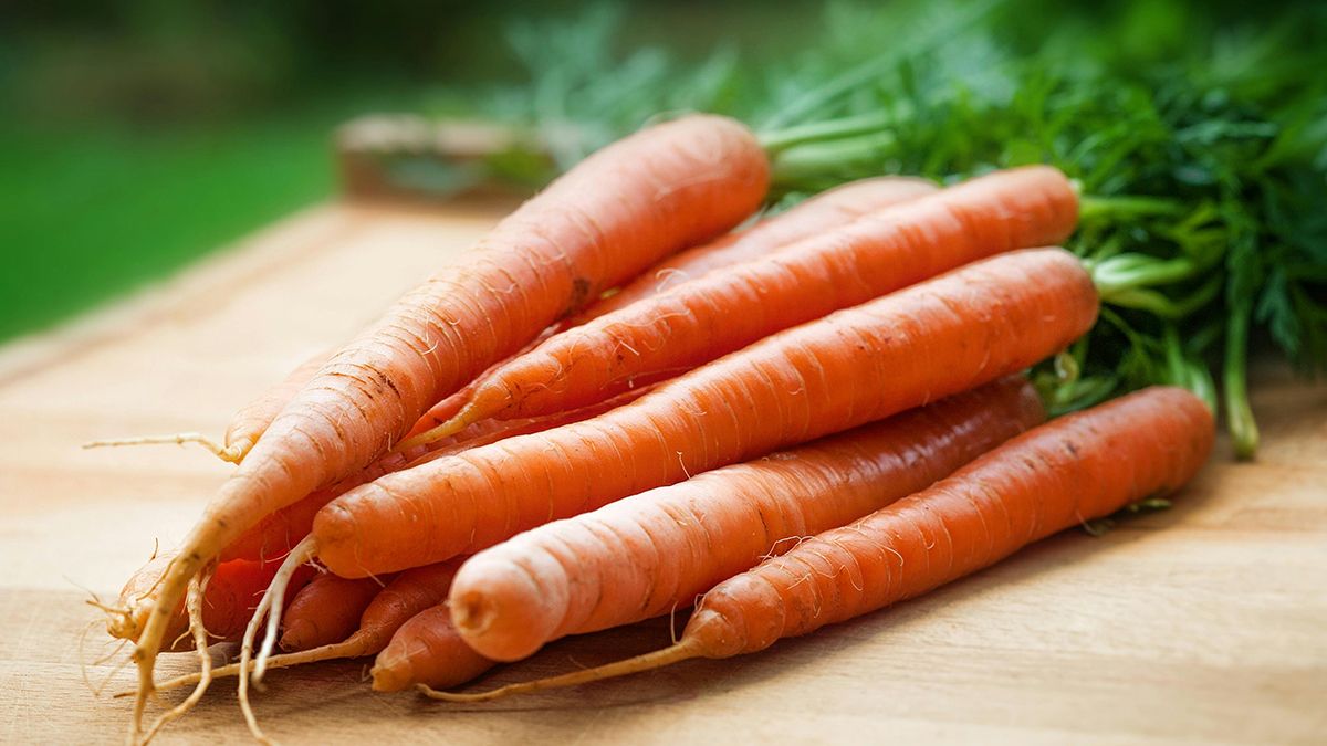Основні причини росту деформованої моркви