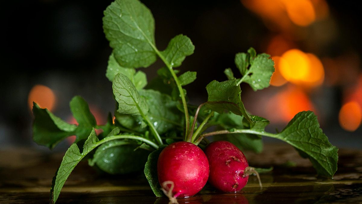 Редиску треба одобрювати Редиску треба одобрювати