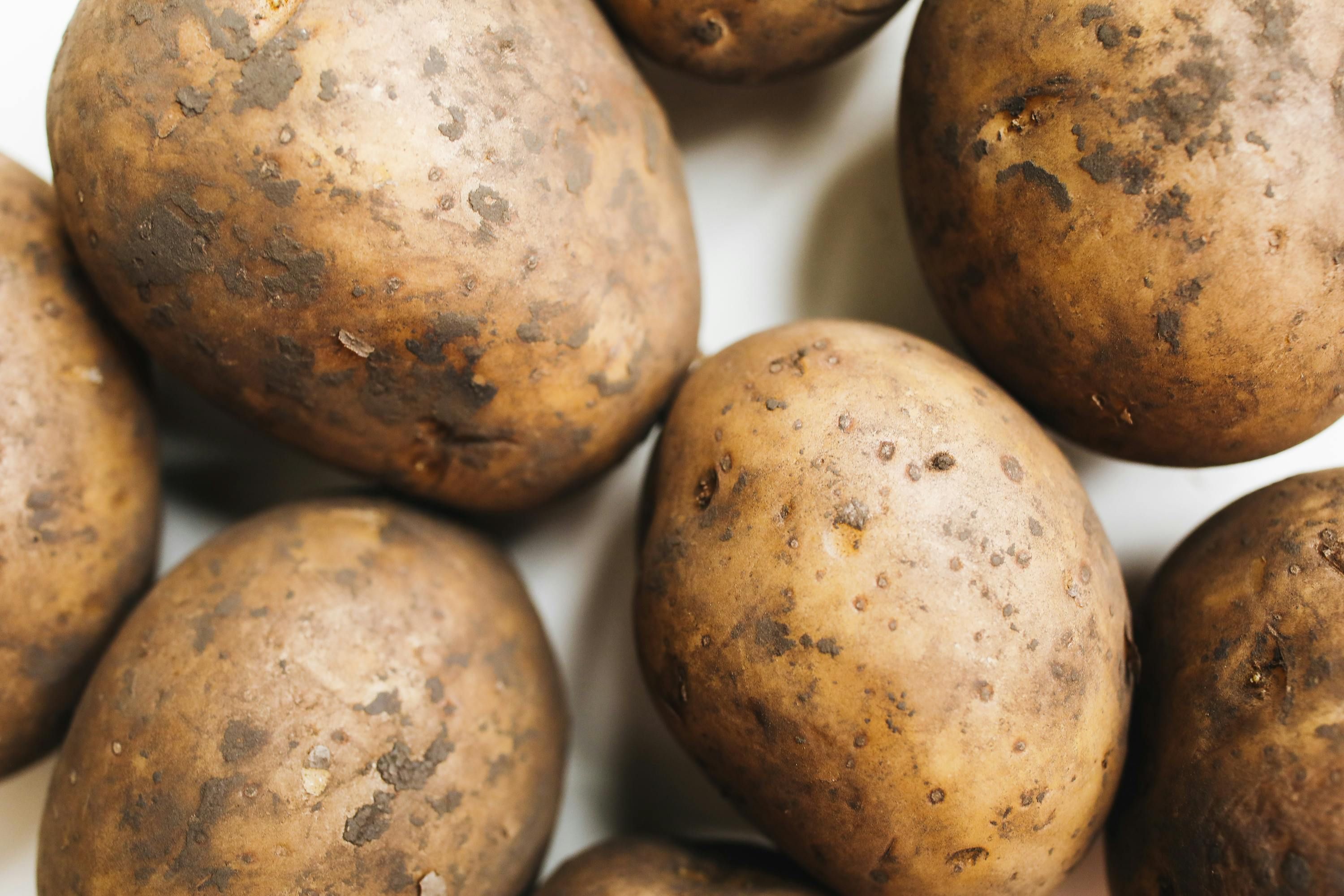 Как спасти картофель после мороза: сделайте это, чтобы не потерять урожай - Советы