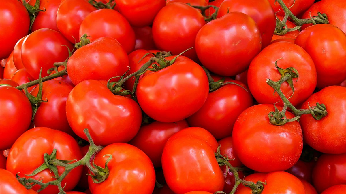 Найкращі методи підживлення для помідорів