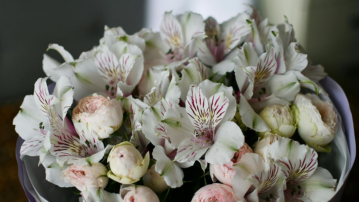 Флористы рассказали, сколько времени цветы стоят в вазе Флористы рассказали, сколько времени цветы стоят в вазе