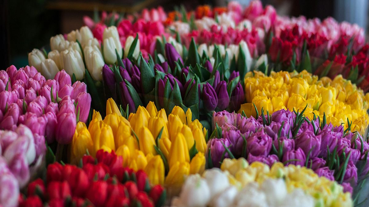 Квіти у вазі можуть стояти набагато довше Квіти у вазі можуть стояти набагато довше