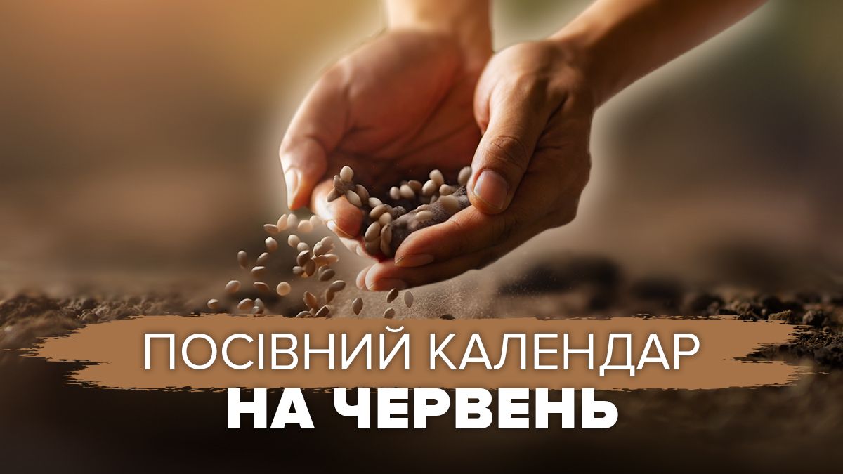 Посевной календарь на июнь