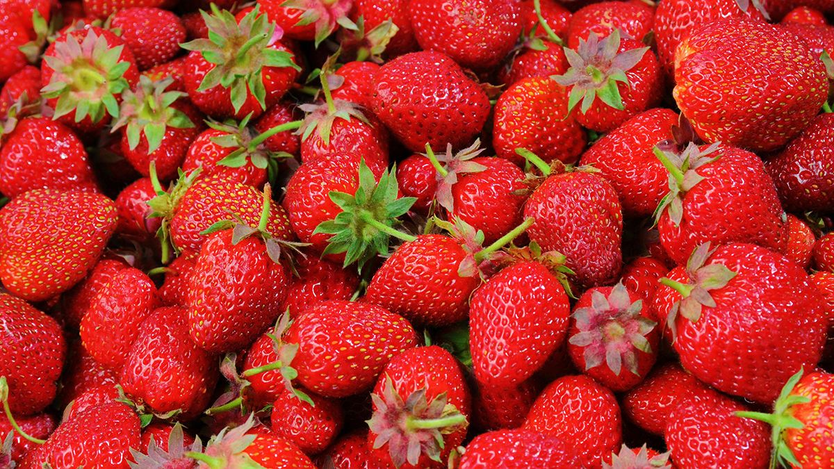 Клубнику надо подливать Клубнику надо подливать