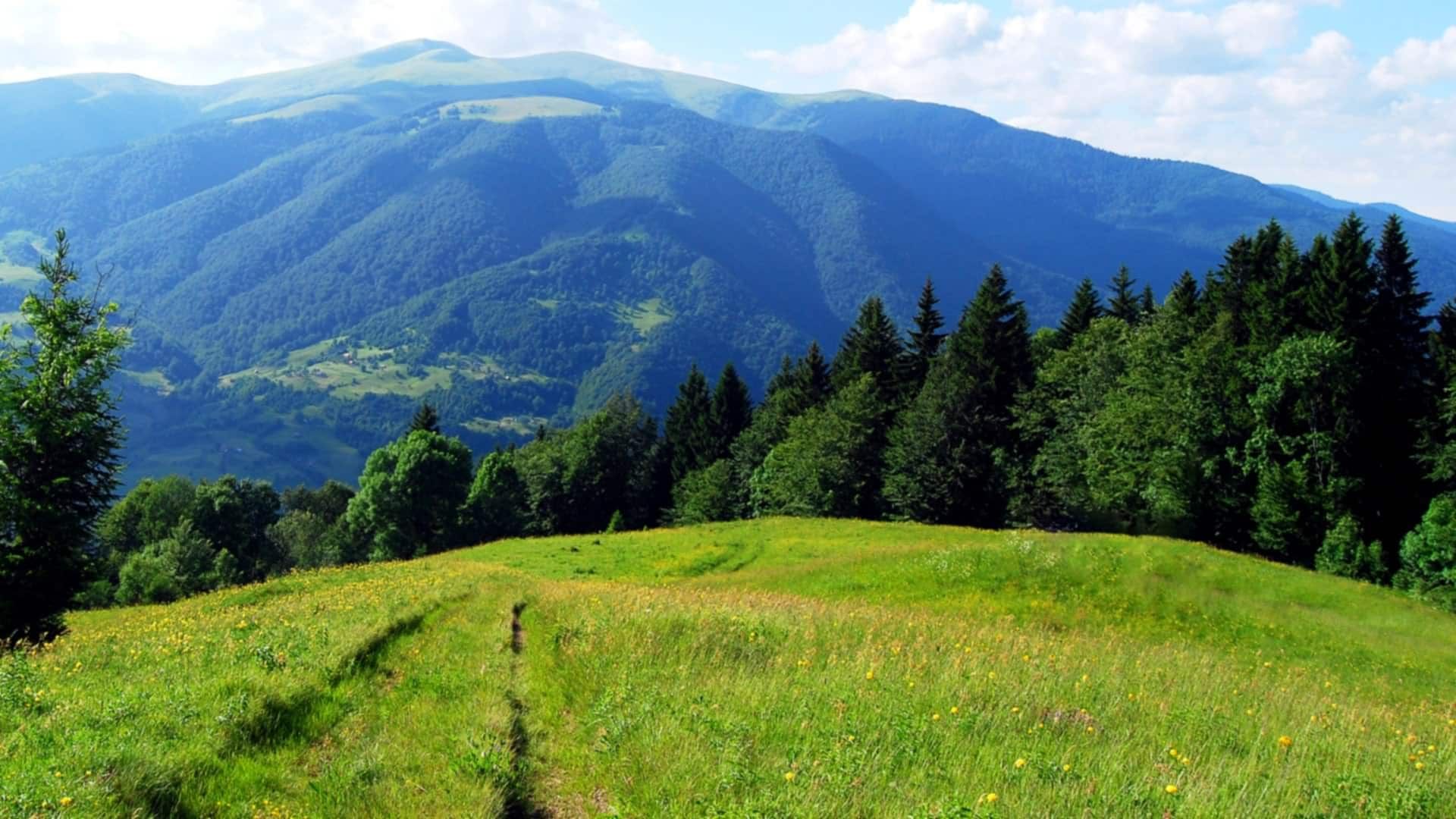 В Карпатах є чимало красивих місць