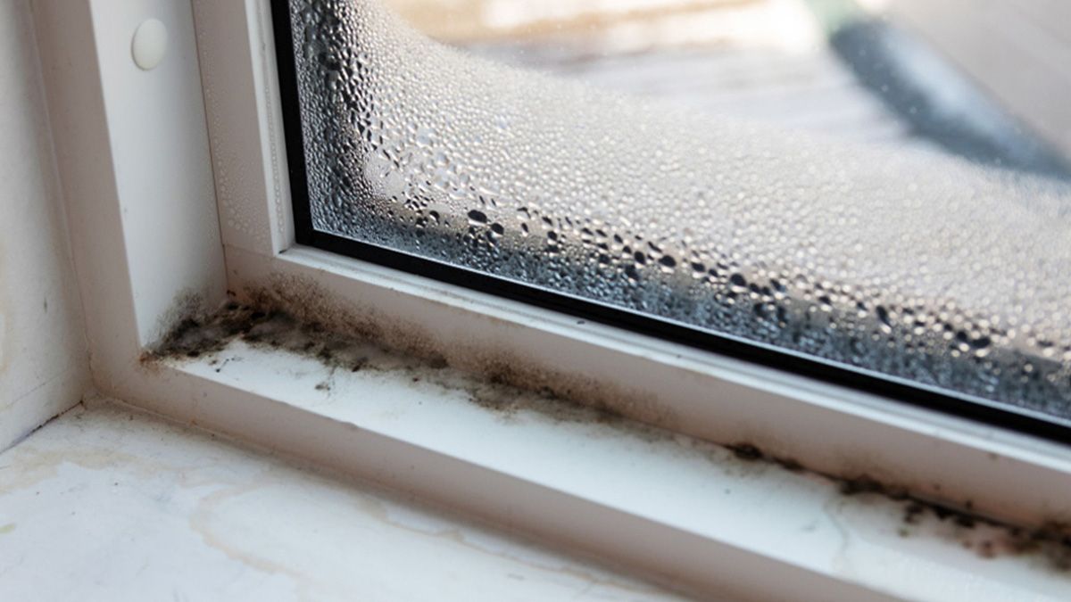 Поради, які позбавляють від плісняви на вікнах