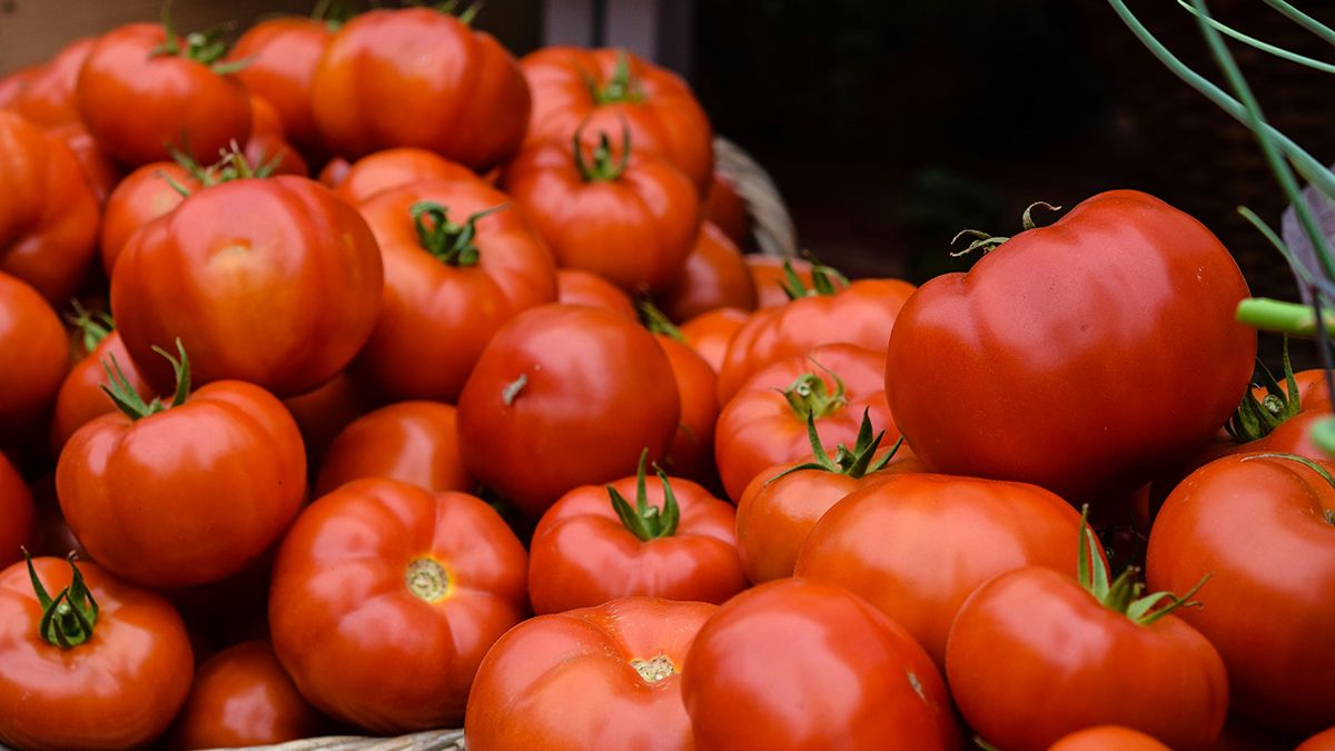 Помидоры надо удобрять, когда они не растут Помидоры надо удобрять, когда они не растут