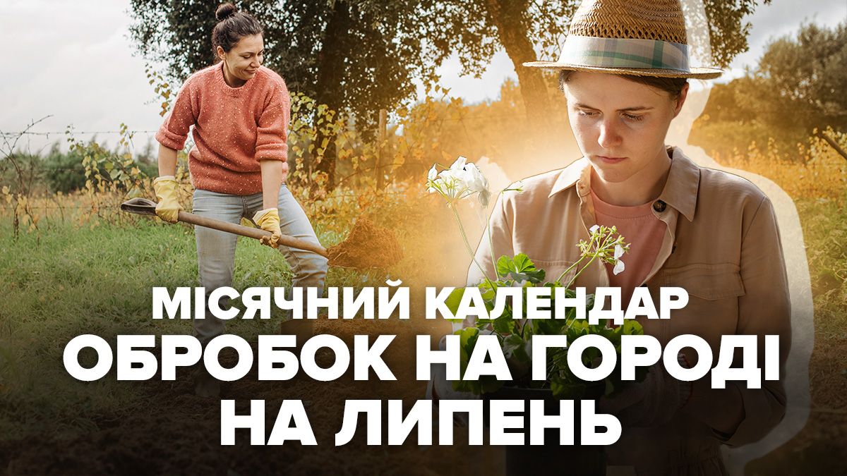 В июле нужно обрабатывать огород В июле нужно обрабатывать огород