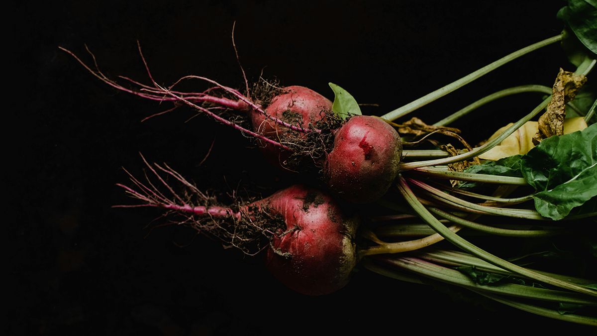 Названо найкраще підживлення для буряків Названо найкраще підживлення для буряків