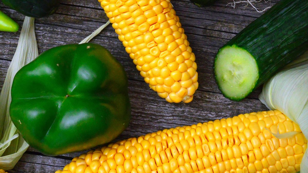 Названо овочі, які можна посадити в липні Названо овочі, які можна посадити в липні