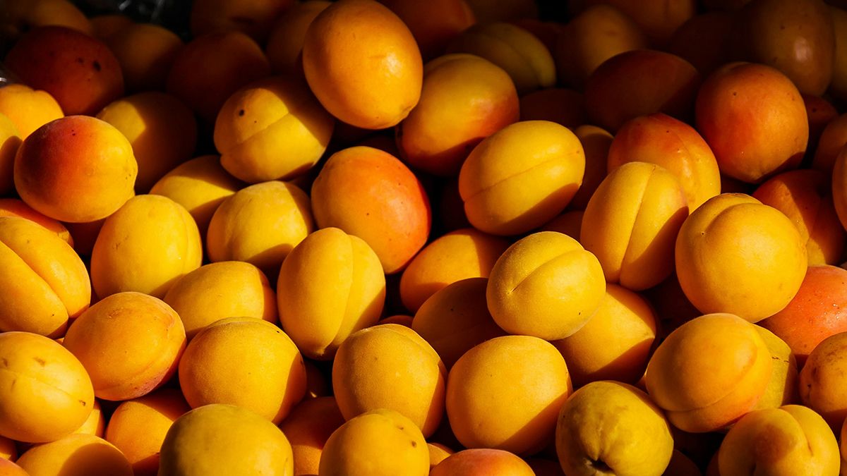 Возле абрикосового дерева можно посадить некоторые растения Возле абрикосового дерева можно посадить некоторые растения