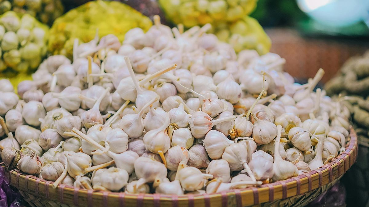 Подкормка чеснока летом Подкормка чеснока летом