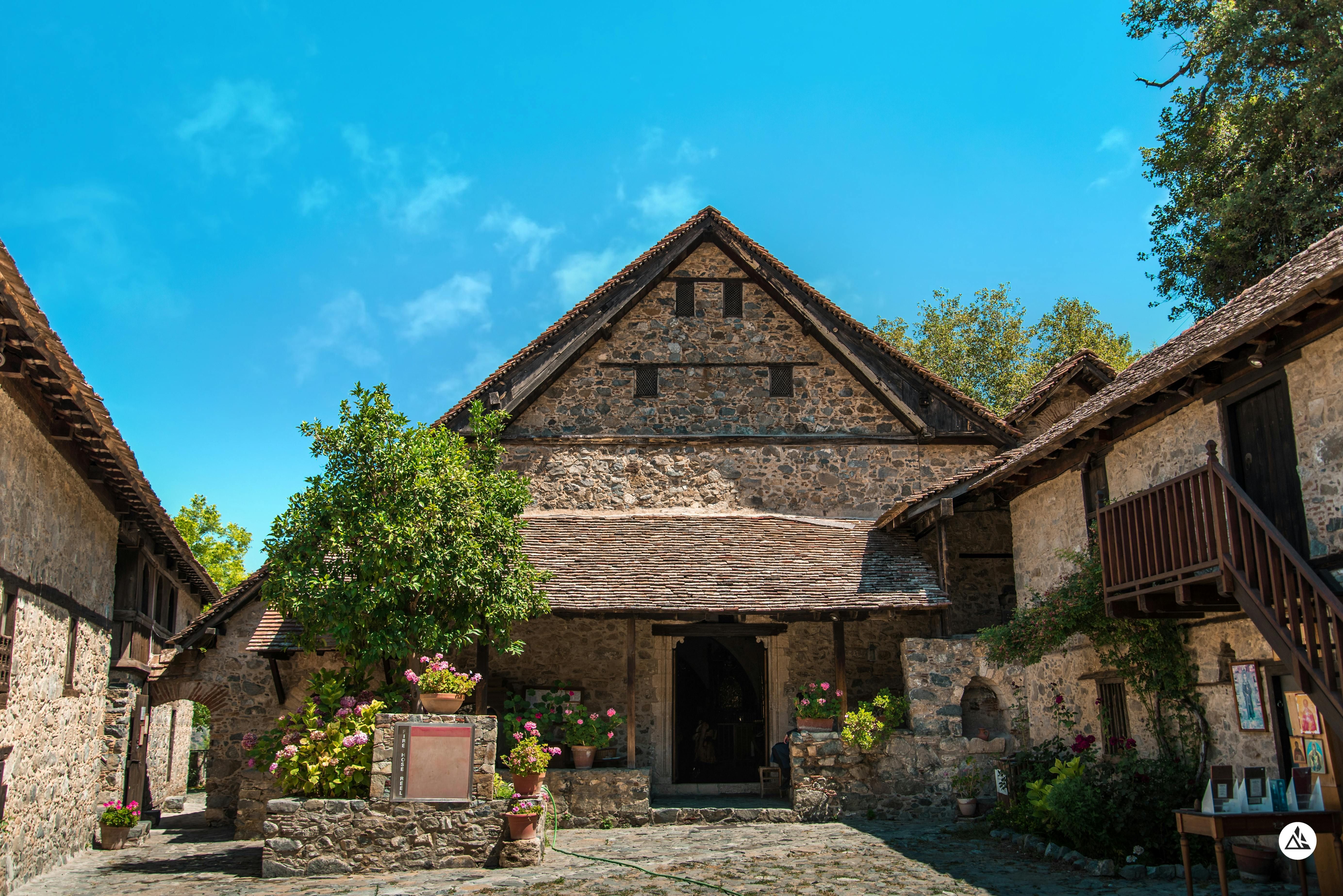 У дворі можна посадити дерева У дворі можна посадити дерева