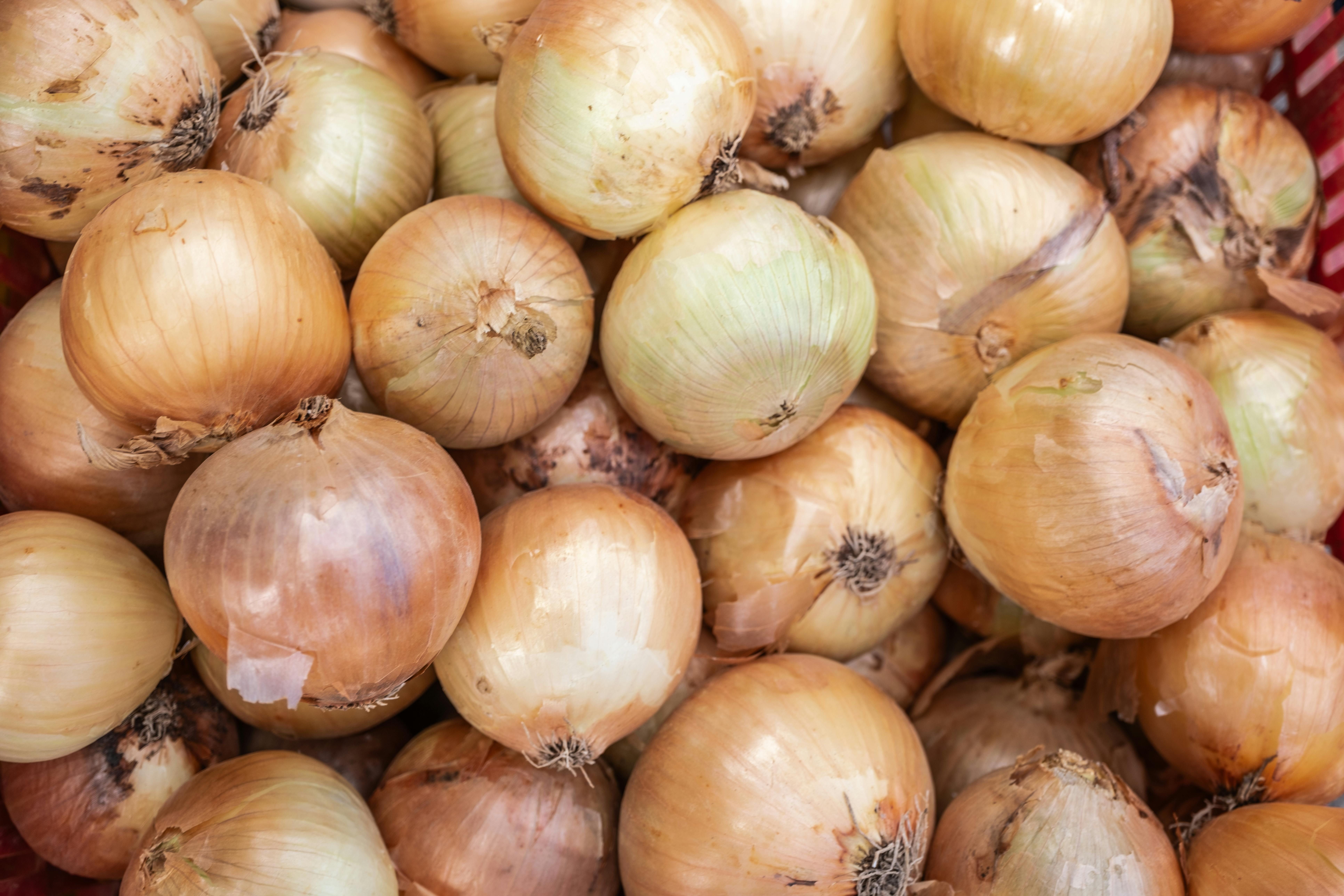 Лук нужно вовремя выкопать Лук нужно вовремя выкопать