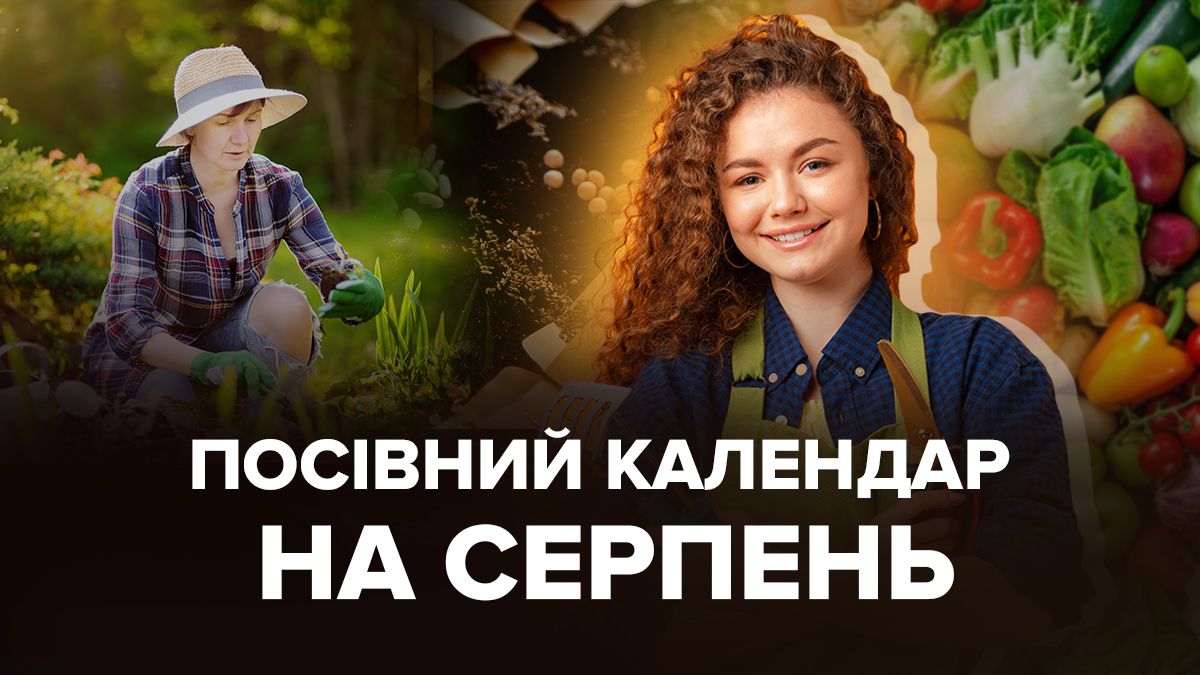 Посівний календар на серпень 2024 Посівний календар на серпень 2024