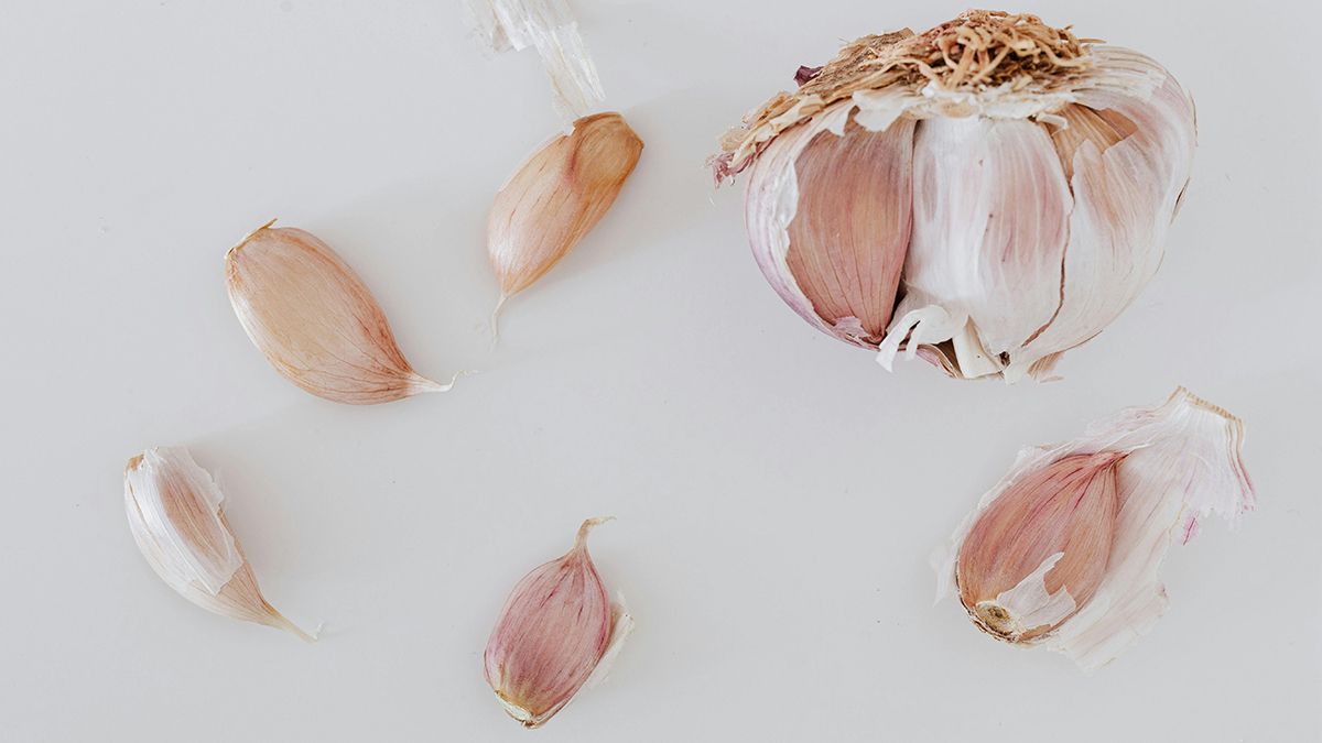 Названы признаки, по которым надо выкапывать озимый чеснок Названы признаки, по которым надо выкапывать озимый чеснок