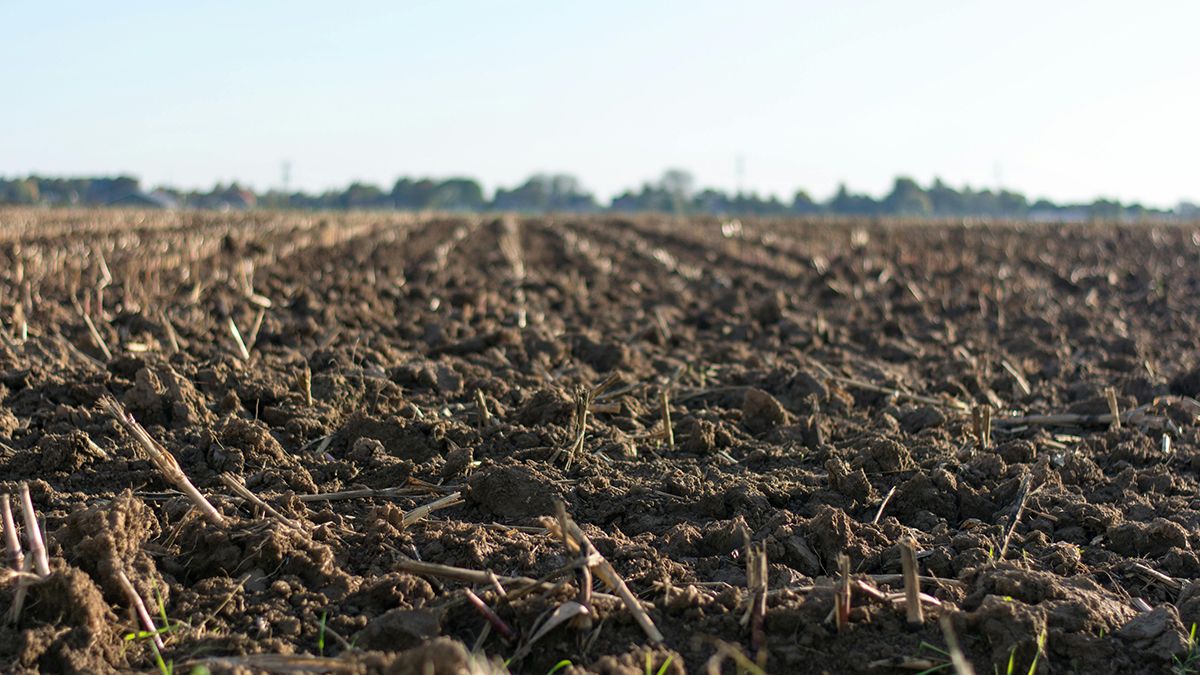 Качество почвы можно улучшить Качество почвы можно улучшить