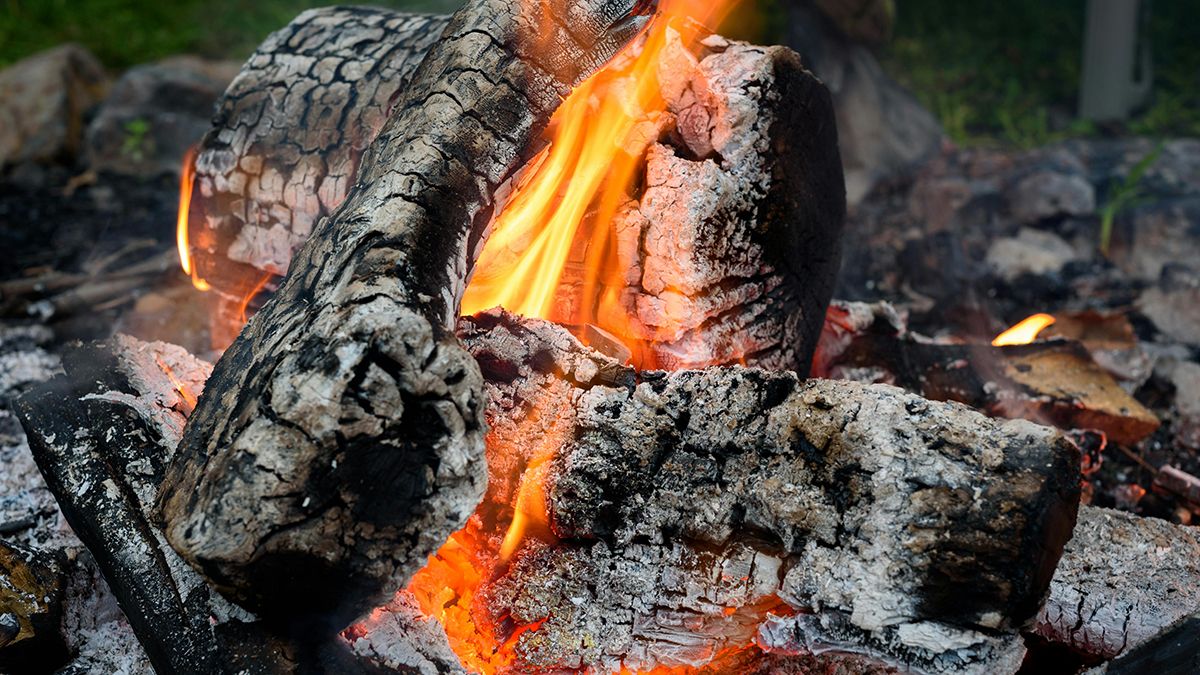 Попіл здатен покращити структуру ґрунту Попіл здатен покращити структуру ґрунту