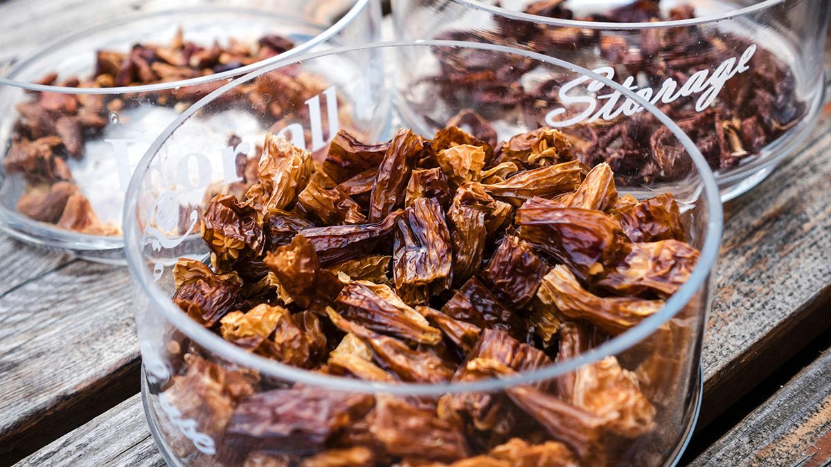 Сухофрукти треба правильно зберігати Сухофрукти треба правильно зберігати