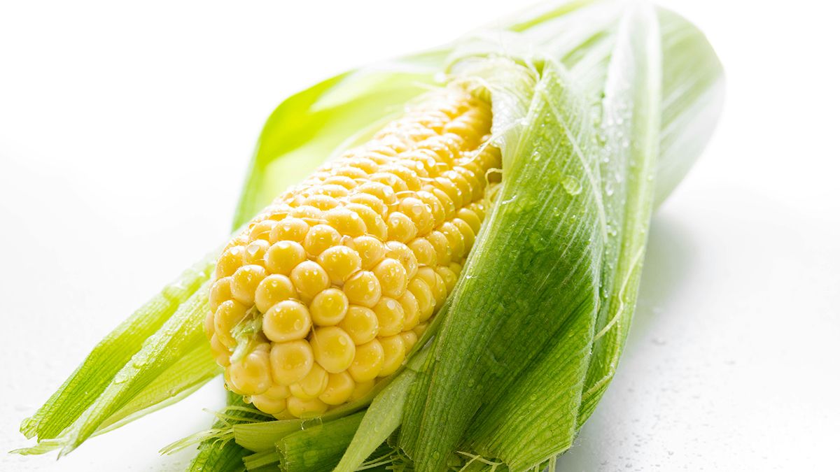 Кукурузу на зиму можно заморозить на зиму Кукурузу на зиму можно заморозить на зиму