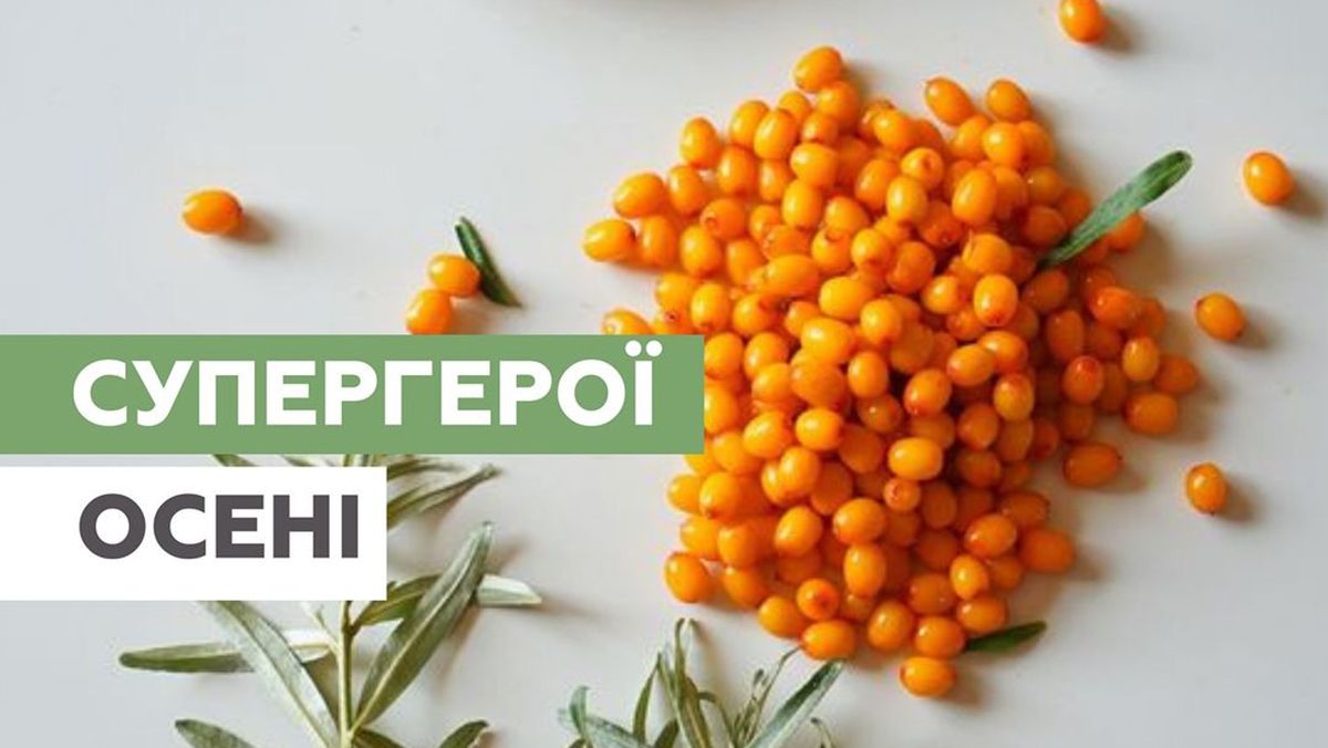 Овощи и фрукты, которые полезно есть осенью