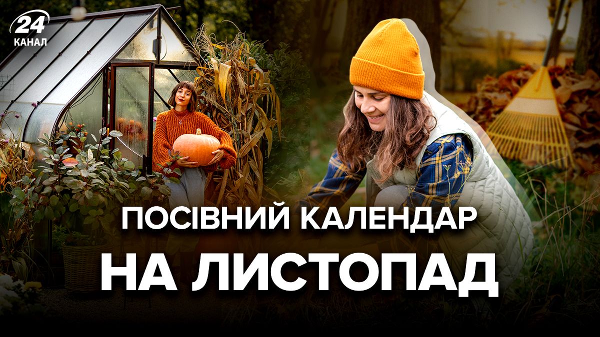 Лунный календарь на ноябрь Лунный календарь на ноябрь