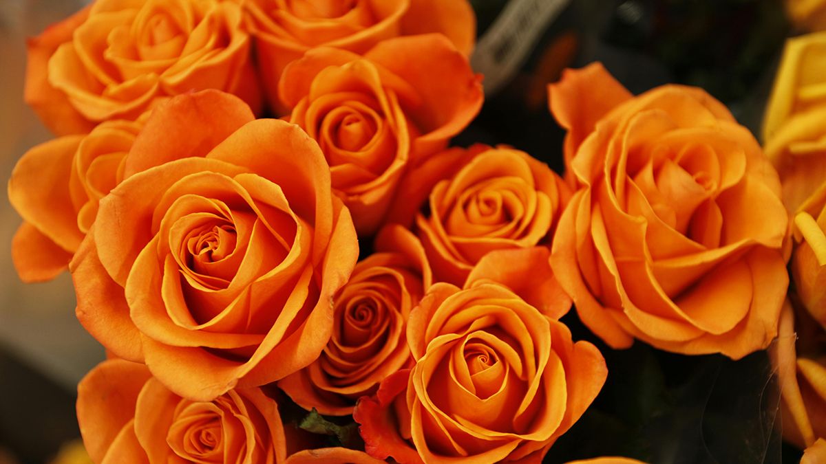 Советы, которые помогут цветам стоять в вазе Советы, которые помогут цветам стоять в вазе