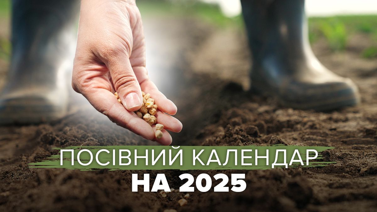 Місячний посівний календар на 2025 рік