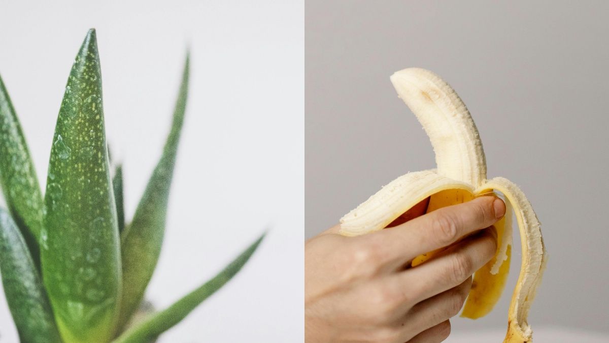 Лайфхак з бананом та алое вера Лайфхак з бананом та алое вера