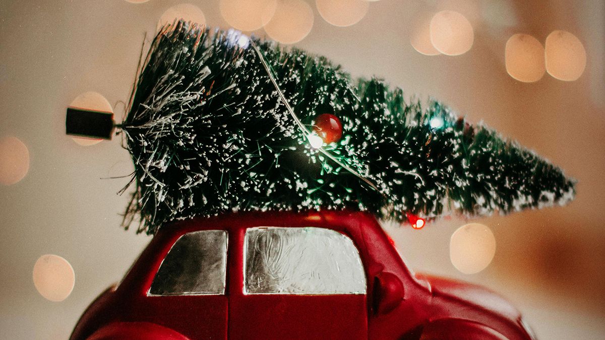 Некоторые елки и украшения являются лишними Некоторые елки и украшения являются лишними