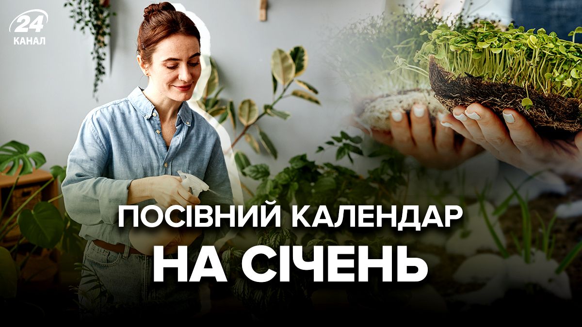 Місячний календар городника Місячний календар городника