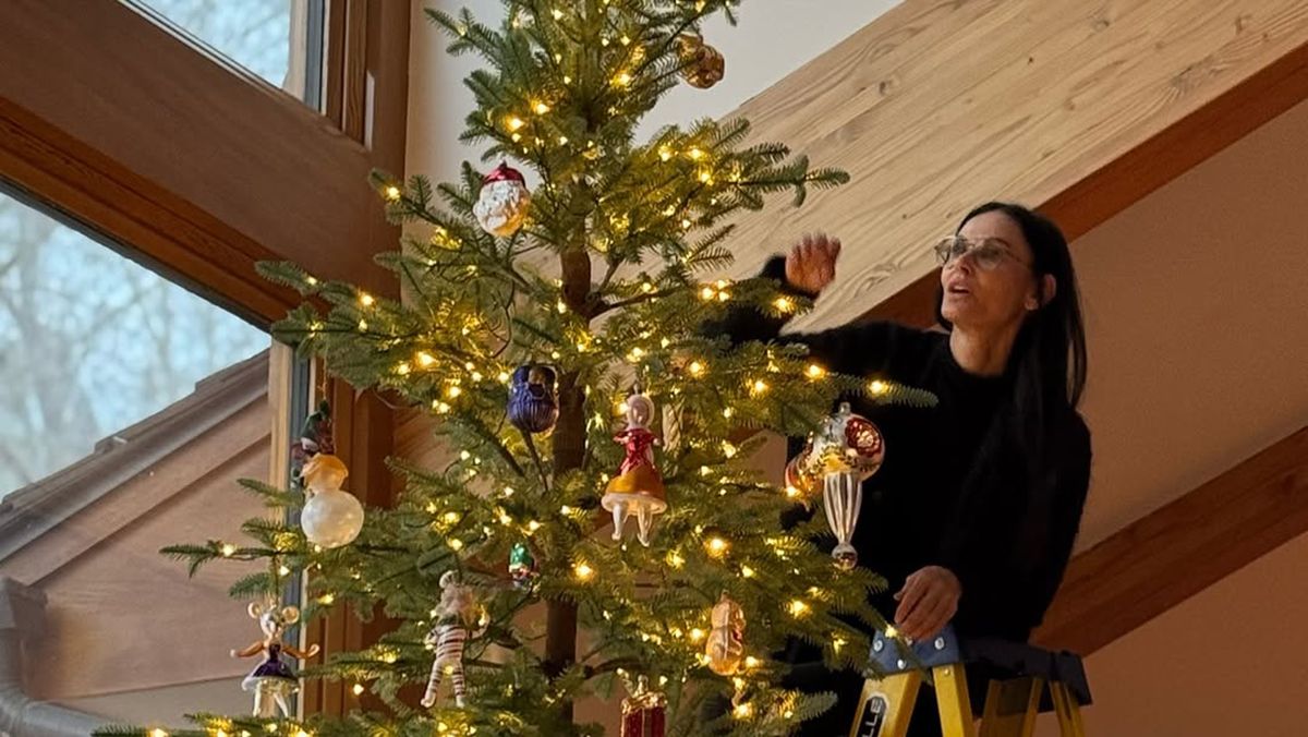 Советы, от которых елка не будет осыпаться Советы, от которых елка не будет осыпаться