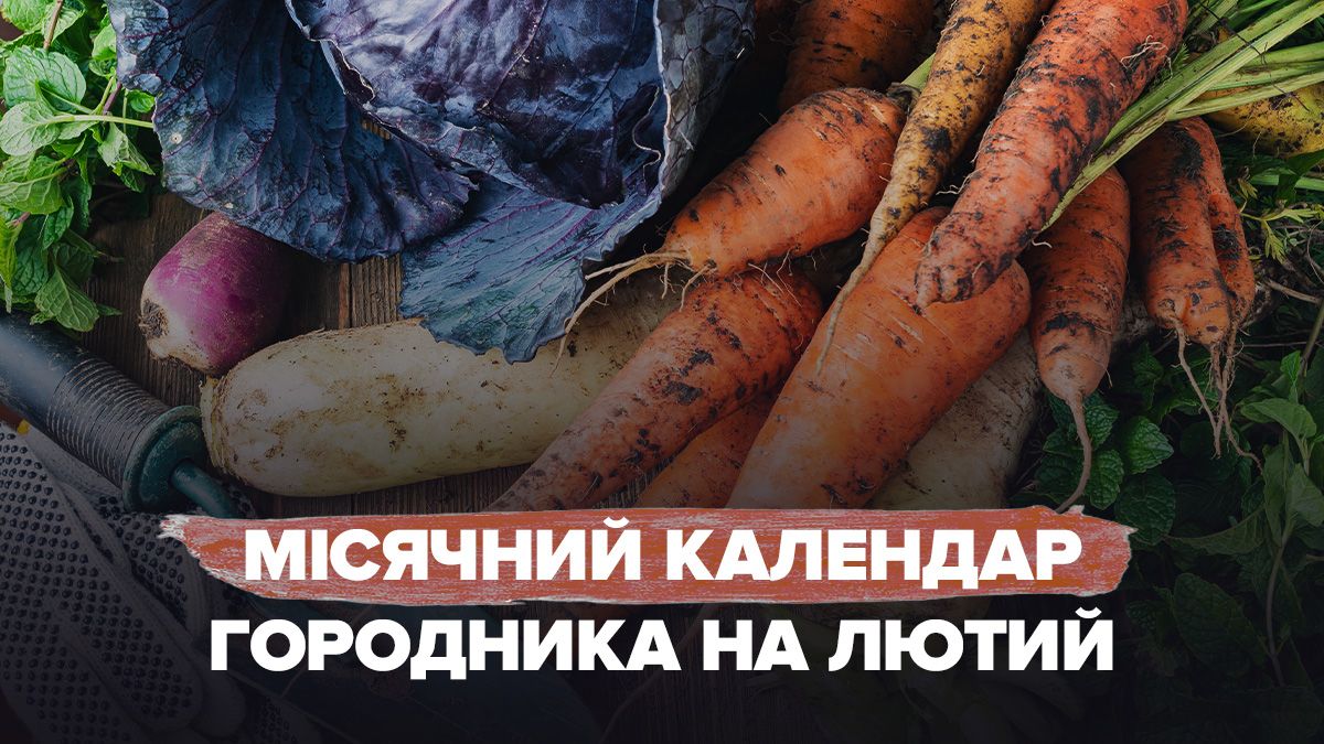 Календар городника на лютий 2025 Календар городника на лютий 2025